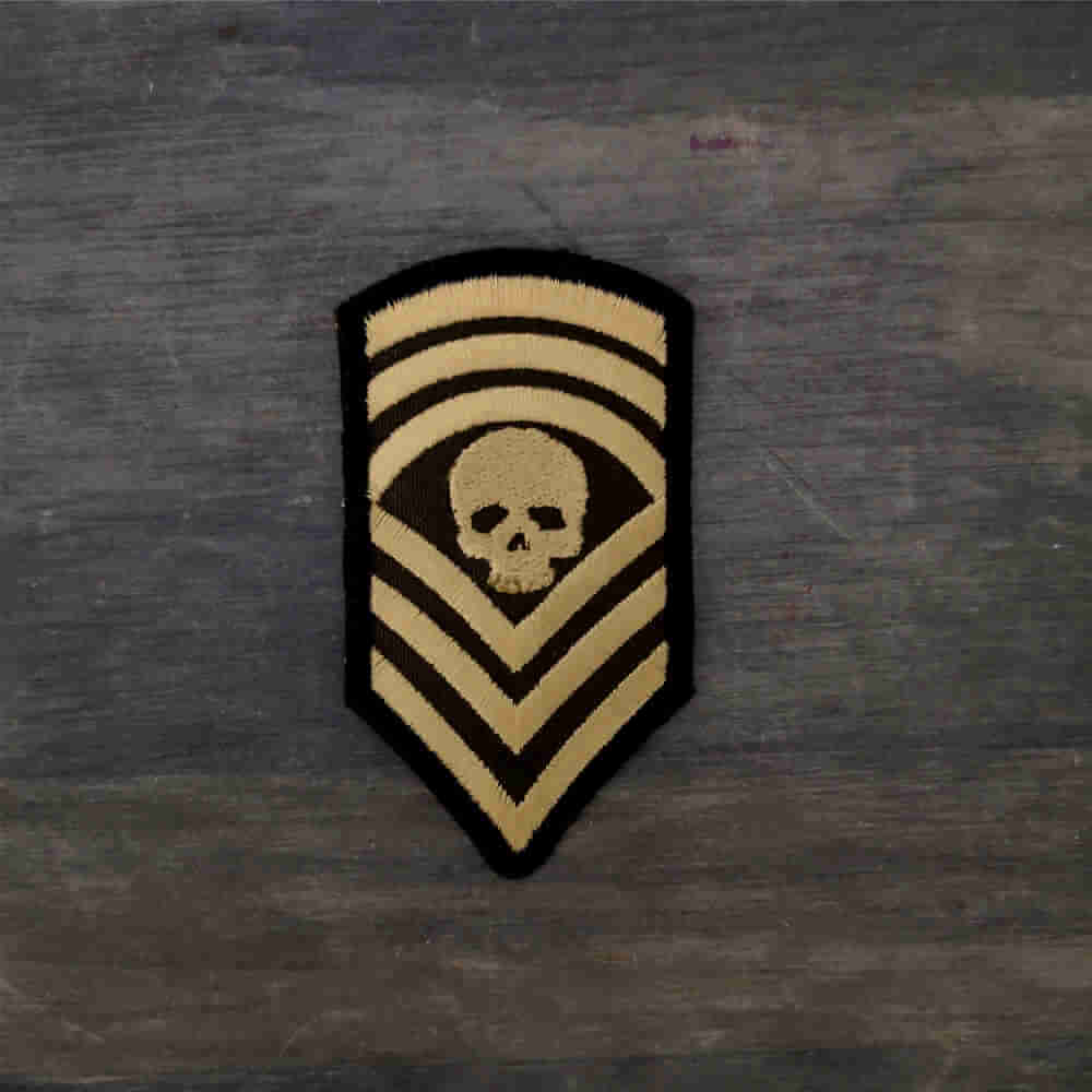 Parche Insignia militar calavera doble ralla